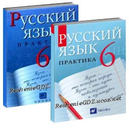 гдз по русскому языку (практика) 6 класса Лидман-Орловой